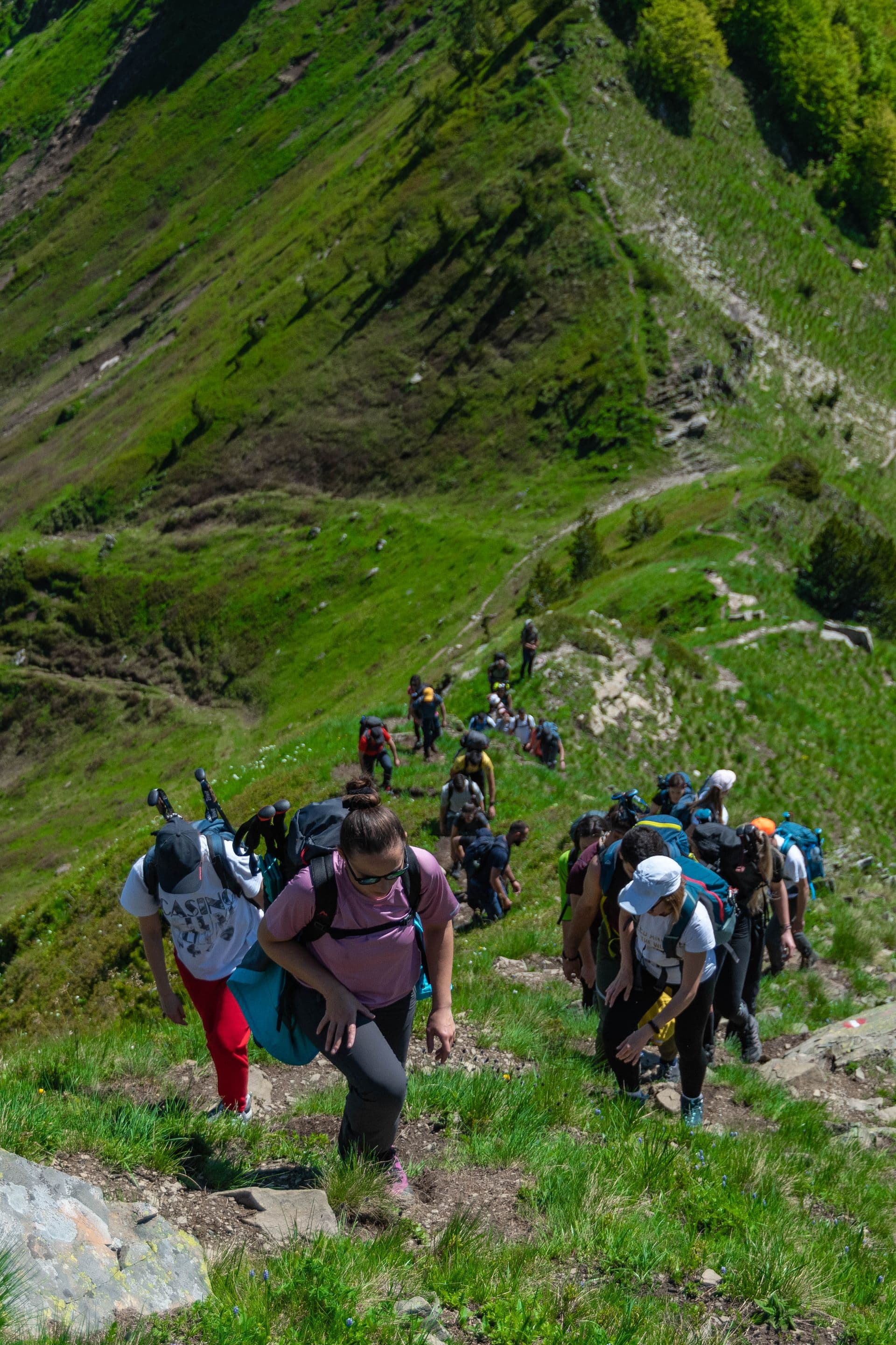 A group of friends climbing a green mountain trail with backpacks